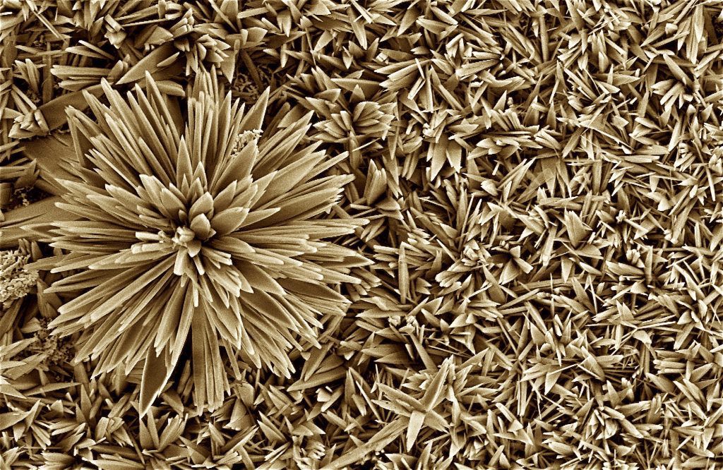 Nano flowers